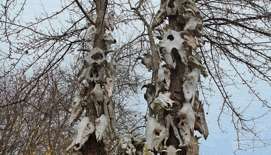 Totem - kostmi ozdobený strom, Polsko